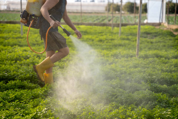 Best Affordable Pest Control Services  in Moody Af, GA
