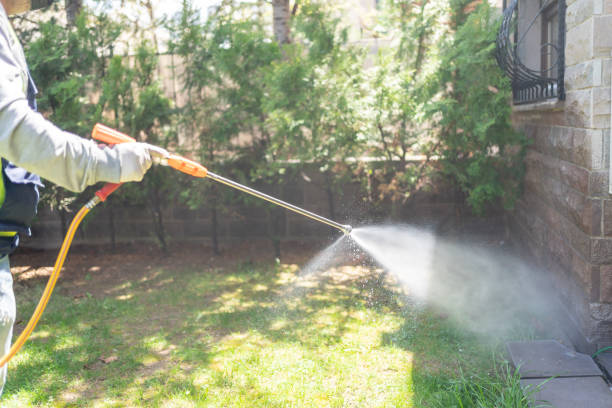 Trusted Moody Af, GA Pest Control Experts