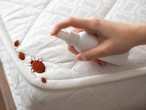 Wasp Removal Services in Moody Af, GA