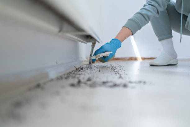 Best Bed Bug Extermination  in Moody Af, GA